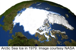 Extent of sea ice in the Arctic in 1979