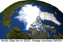 Extent of sea ice in the Arctic in 2003