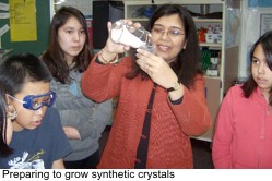 Preparation to grow synthetic crystals in the class