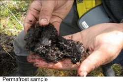 Permafrost sample