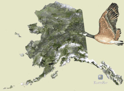 Tutangiaq flies across Alaska satellite image mosaic