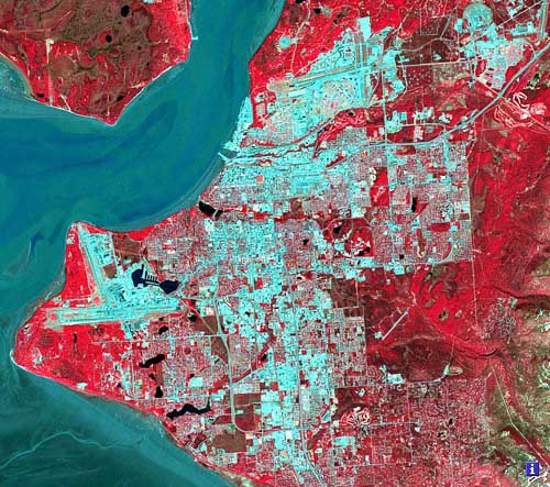 False color composite image Landsat image of Anchorage area + learn more button