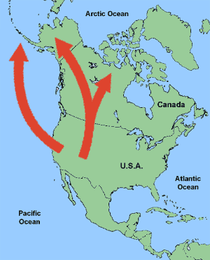 General migration routes of Canada Goose