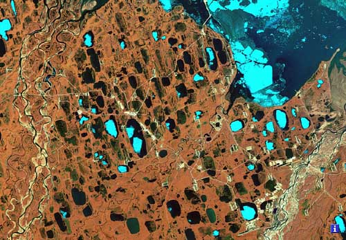 Satellite image of Prudhoe Bay and its surroundings + learn more button
