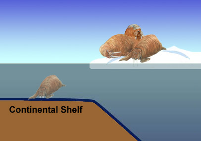Graphics showing the location of the ice edge relative to the continental shelf