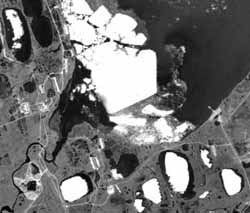 Satellite image of a part of the Arctic Alaskan coast showing ice and water