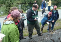 Teachers studying geology