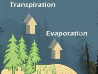 Evapotranspiration