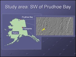 Map of the Prudoe Bay study area