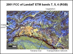 Landsat false color composite image from 2001