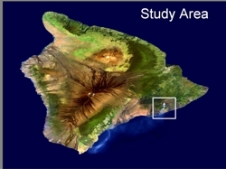 MODIS image of the study area