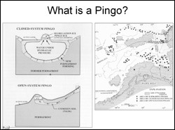 Schematic pingo definition and pingo distribution map