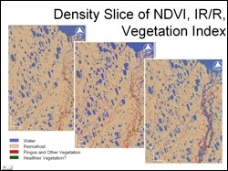 Results of density sliced vegetation indices