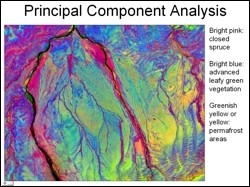 Principal component analysis result