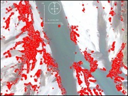 Result of the supervised river wood classification